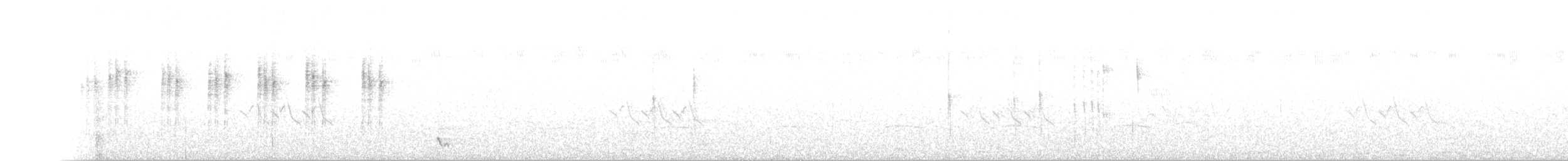 Weißflanken-Dunkeltyrann - ML546258041