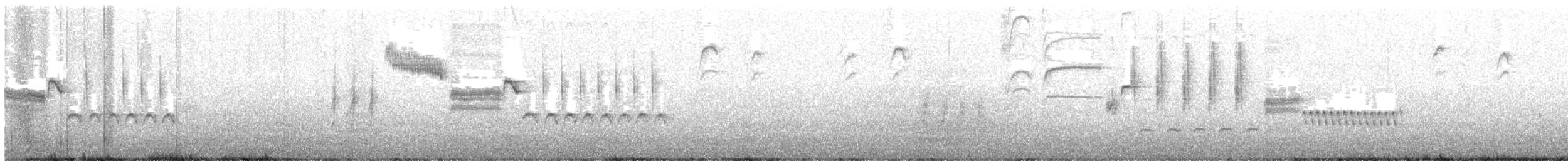 Troglodyte de Bewick - ML546301181