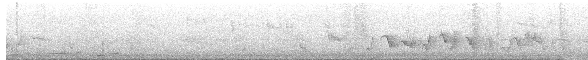 Rufous Whistler - ML546360171
