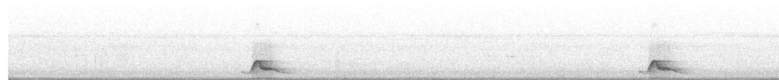 Pauraquenachtschwalbe - ML546530881
