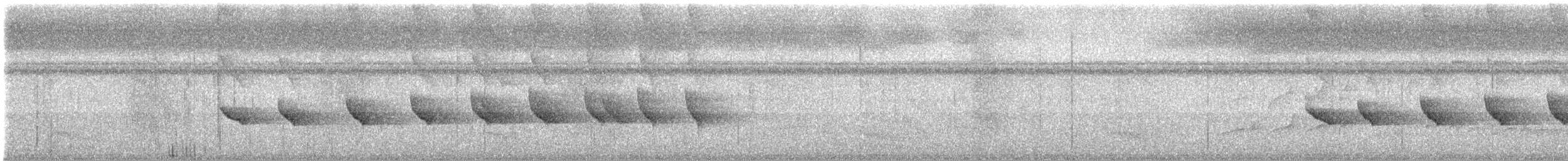 Nacktstirn-Ameisenvogel - ML546627351