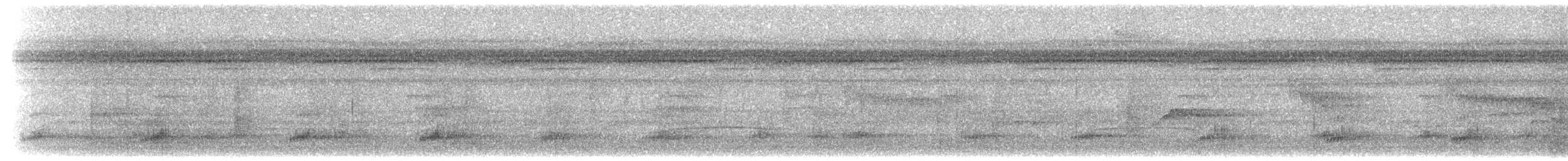 regnbuetukan - ML546649051