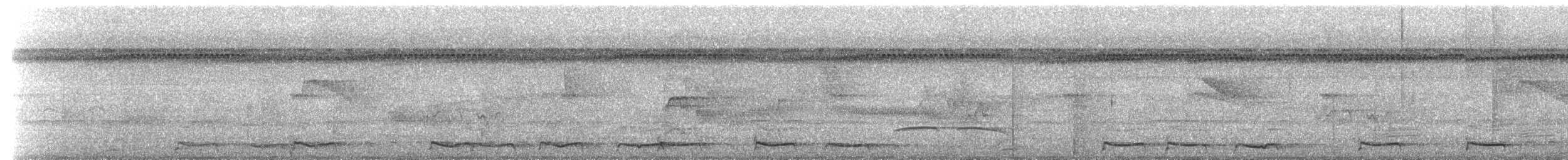 purpurskjeggkotinga - ML546649391