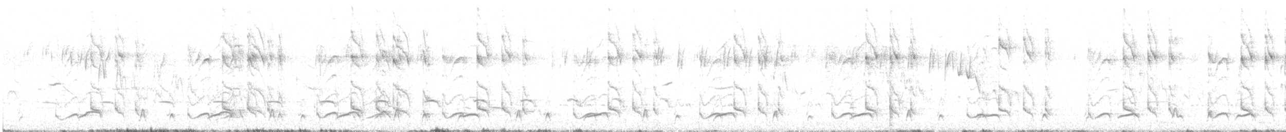 D'Arnaud's Barbet - ML546687891