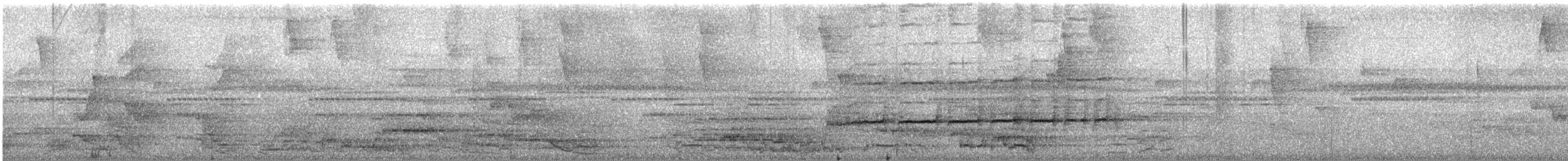 Пласкодзьоб західний - ML546695511