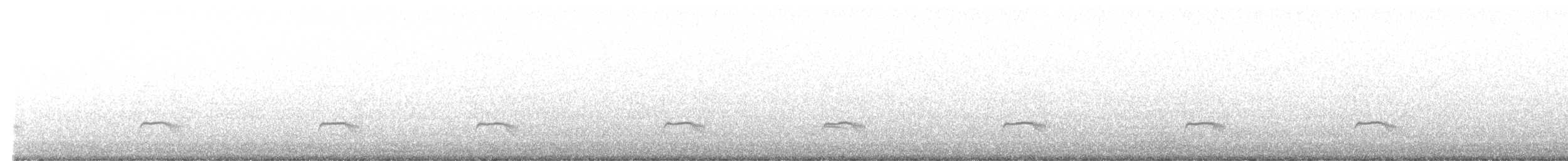 Schmalspiegel-Nachtschwalbe - ML546697051