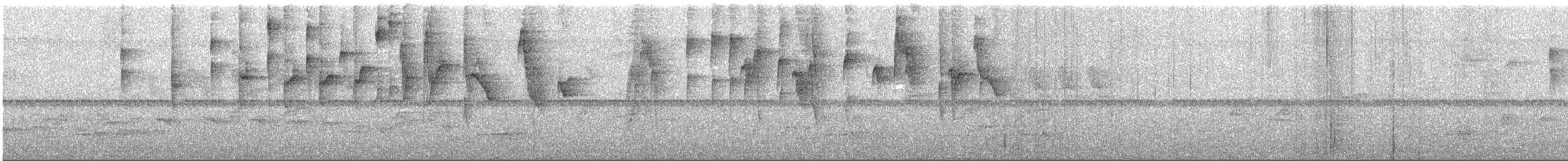 Dreistreifen-Waldsänger (auricularis) - ML546697301