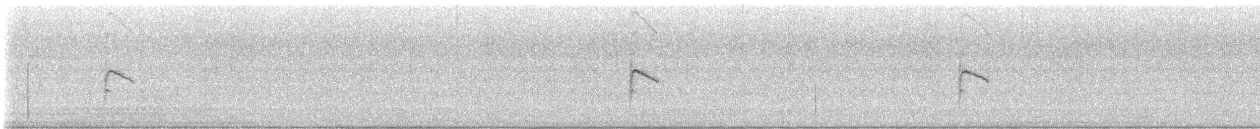 Troglodyte des volcans - ML546699431