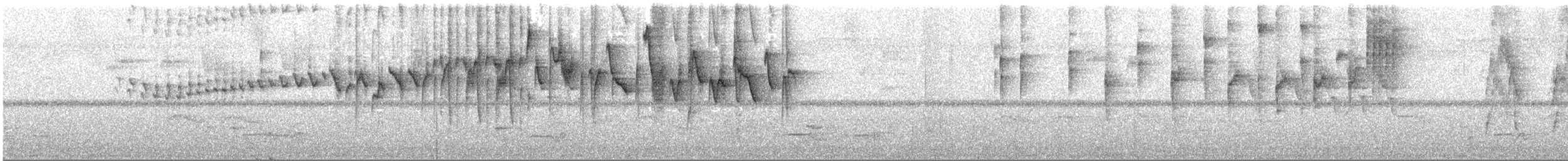 Üç Şeritli Ötleğen (auricularis) - ML546702841