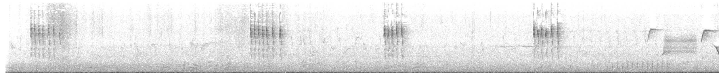 Troglodyte de Baird - ML546807541
