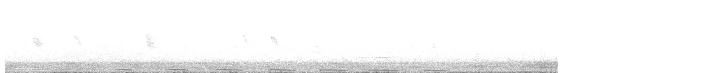 Калифорнийская кукушка-подорожник - ML546815791
