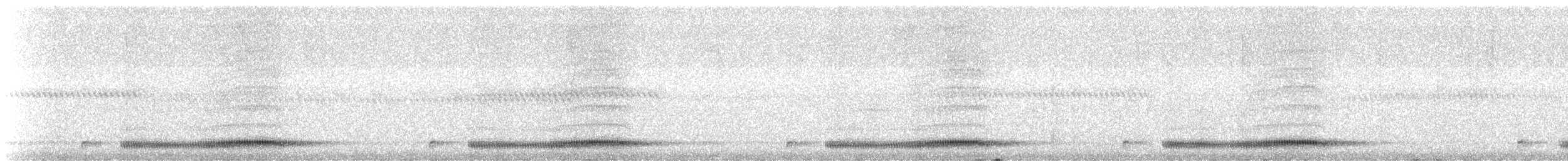 Hispaniolan Nightjar - ML546932041