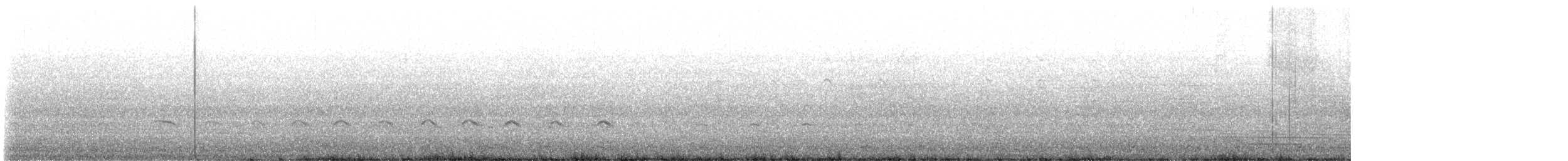 Western Gull - ML546985921