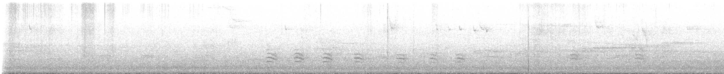 Weißbrustkleiber (carolinensis) - ML546988721