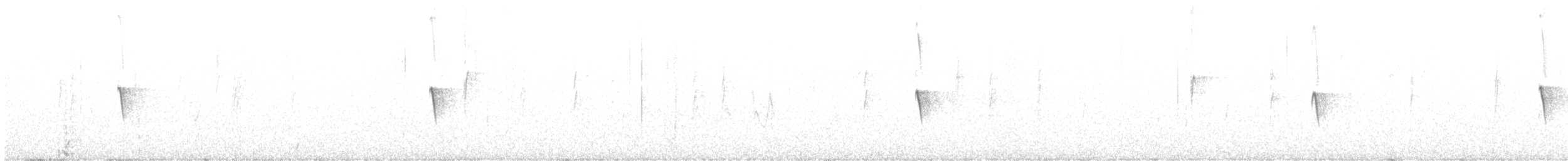 Weißbauch-Phoebetyrann - ML546991501