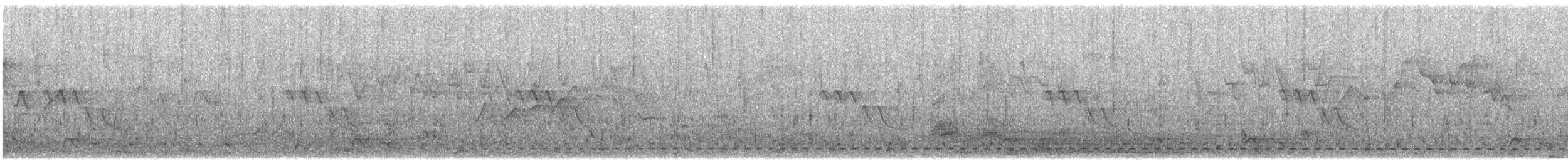 Chevêchette cuculoïde - ML547046321