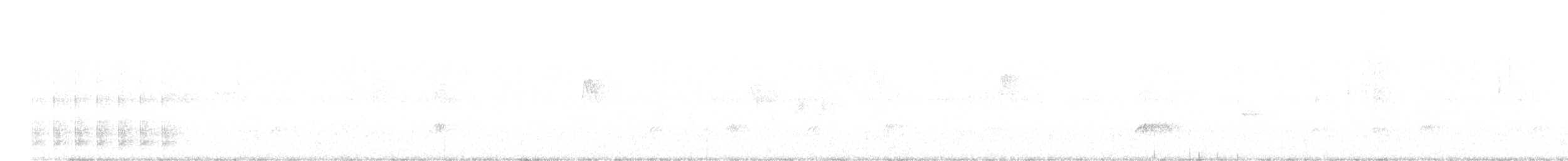 Tüpfelzwergspecht - ML547052791