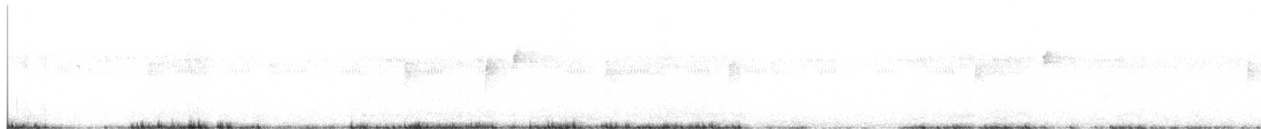 White-bellied Antbird - ML547098741