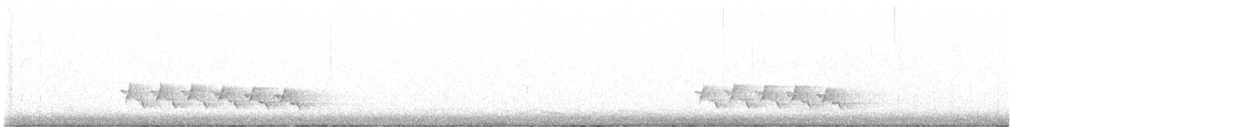 チャバラマユミソサザイ - ML547153661