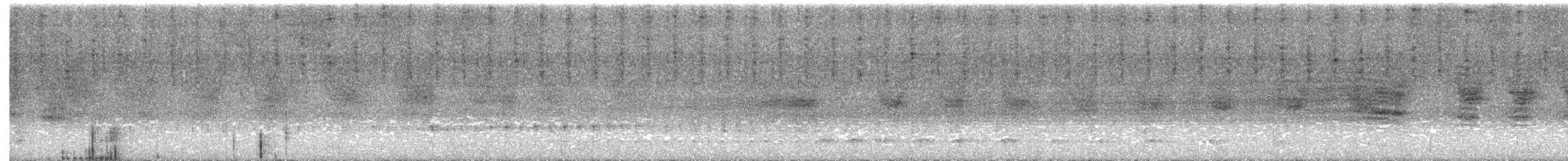 ギンムネカッコウ - ML547175691