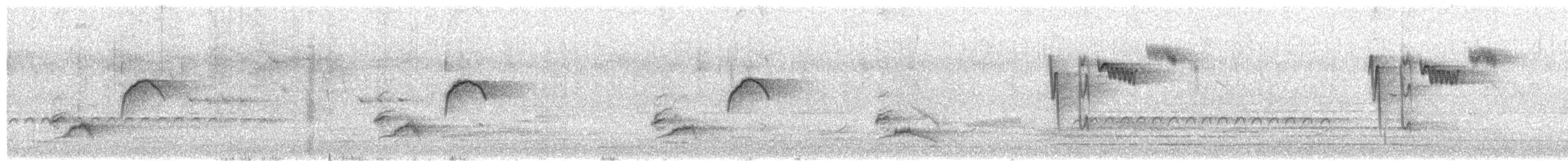 Дууч хөөндэй - ML547200131