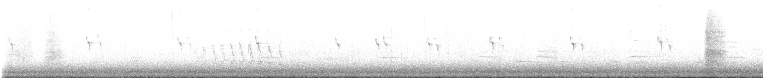 Carouge à épaulettes (groupe phoeniceus) - ML547203111