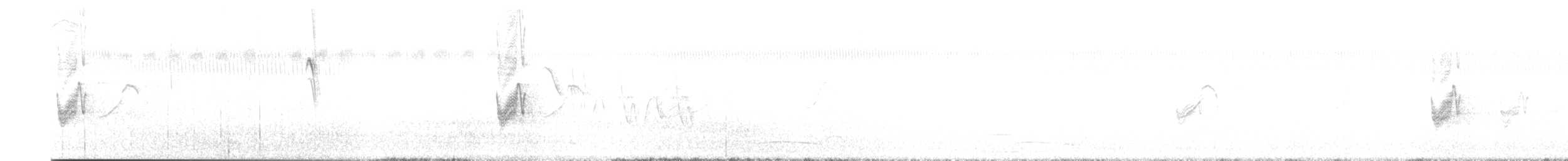 Savannennachtschwalbe - ML547222381