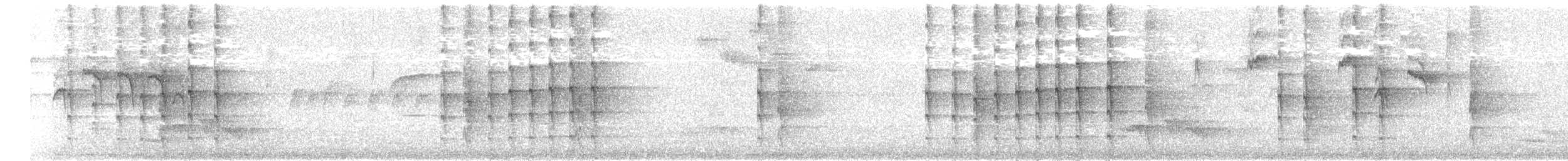 Пестрогрудый лесовик - ML547251101