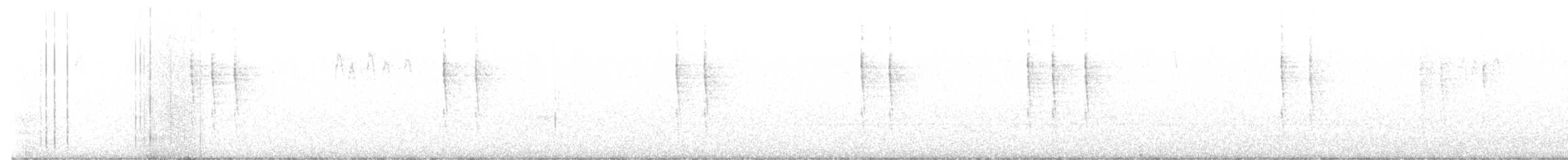 Pacific Wren - ML547363181