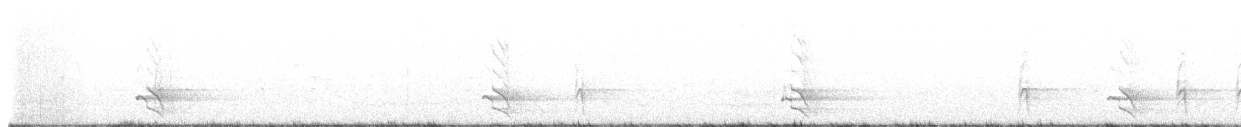 Northern Flicker - ML547363811