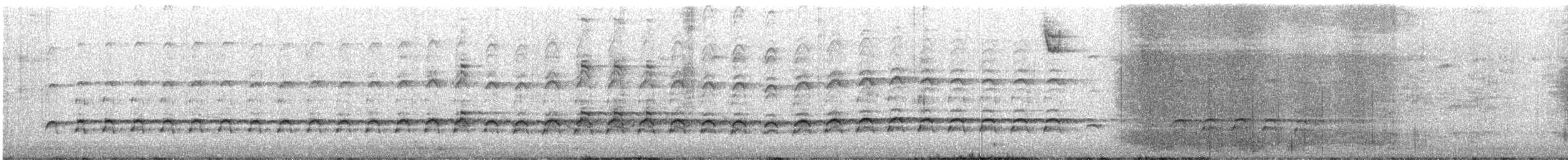 Arrano arrantzalea - ML547386861