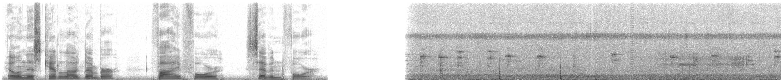 guamrikse - ML5474