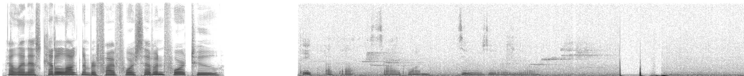 Northern Cardinal - ML54742