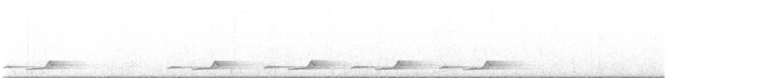 Schwarzkehl-Nachtschwalbe - ML547424901