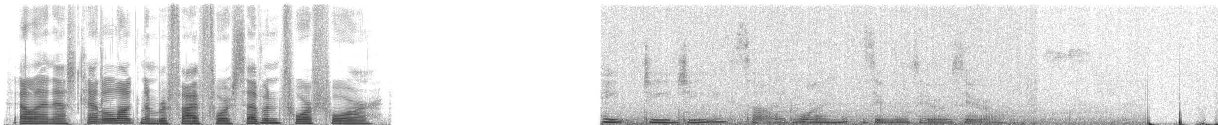 Northern Cardinal - ML54744