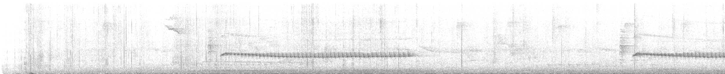 Schwarzschwanz-Degenschnäbler - ML547449791