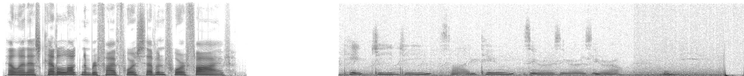 Northern Cardinal - ML54745