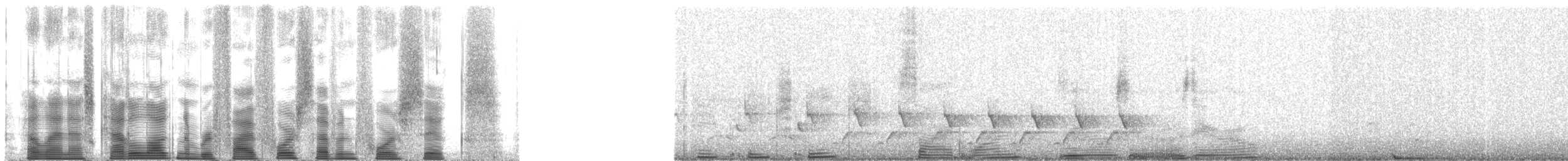 Northern Cardinal - ML54746