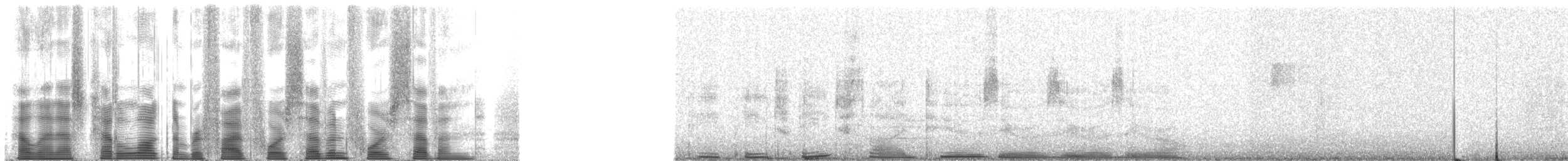 Northern Cardinal - ML54747