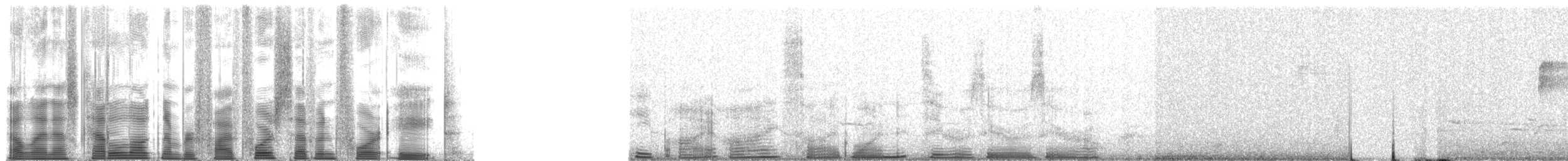 Northern Cardinal - ML54748