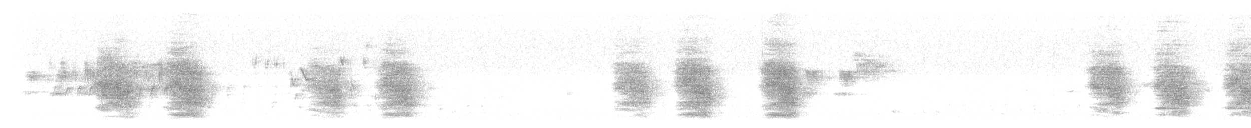 Steller's Jay - ML547484771