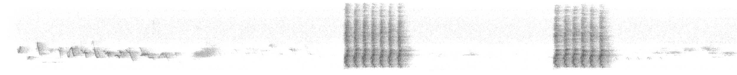 Steller's Jay - ML547484781