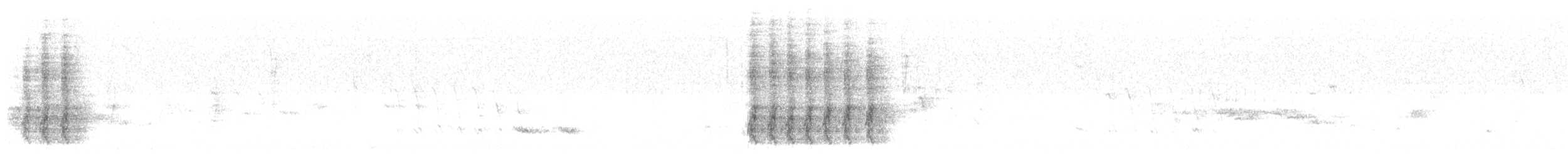 Steller's Jay - ML547484791