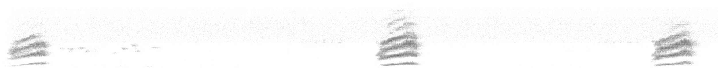 Spotted Towhee - ML547484871