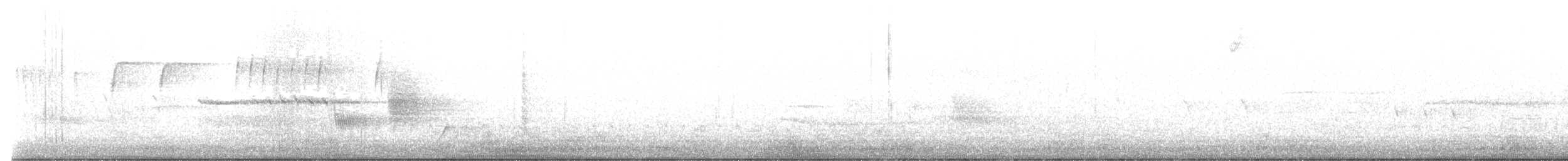 גיבתונית רוננת - ML547487511