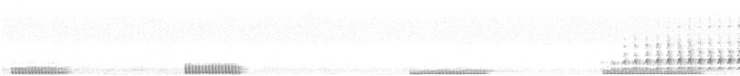 Northern Flicker - ML547491131