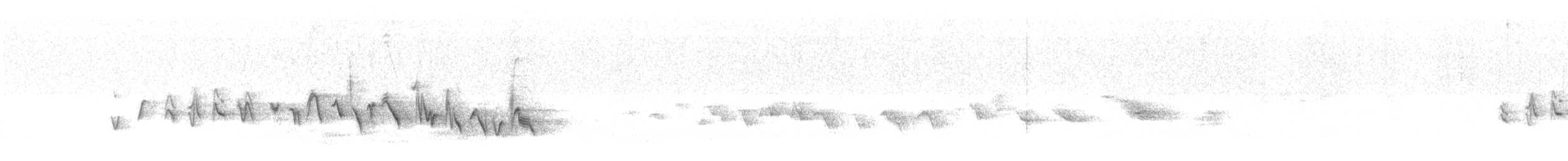 House Finch - ML547492561