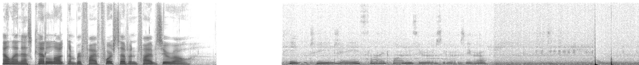 Northern Cardinal - ML54750