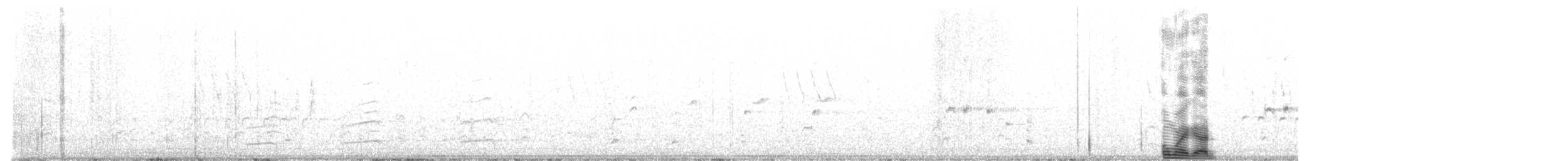 Белоголовый орлан - ML547513181