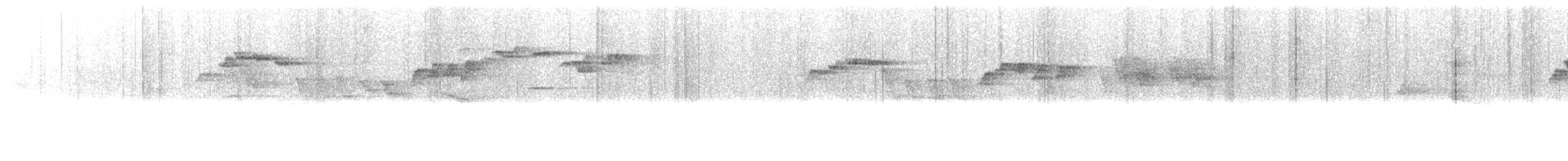 Kara Gerdanlı Nektarkuşu - ML547525981